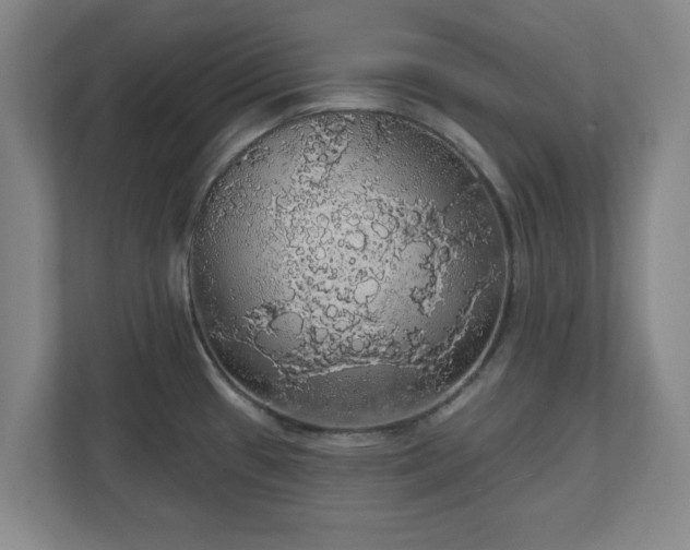 X0000110701433200906191518
