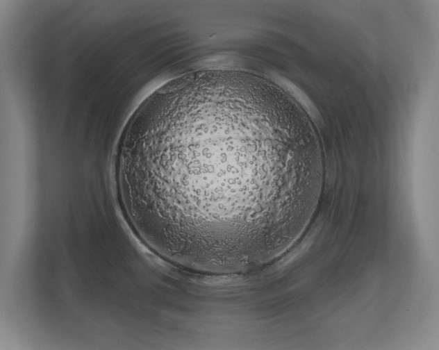 X0000110701434200906191518