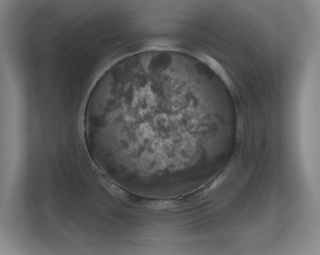 X0000110701435200906191518
