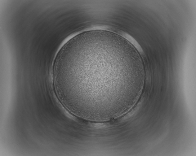 X0000110701436200906191518