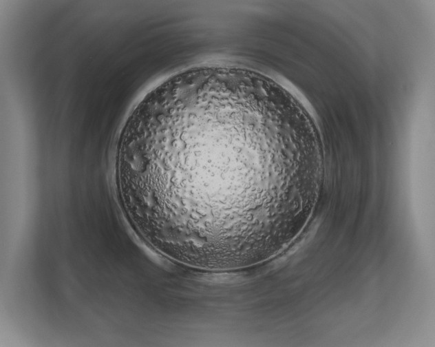 X0000110701437200906191518