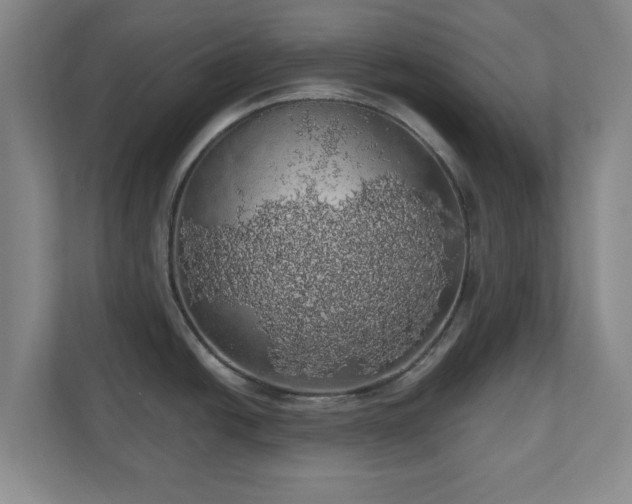 X0000110701438200906191518