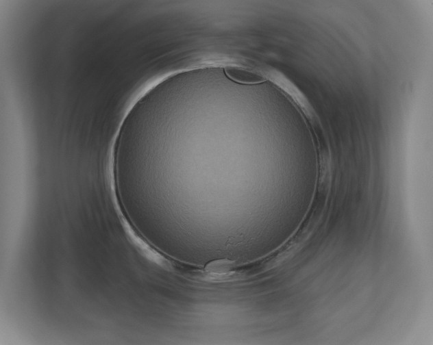 X0000110701439200906191518