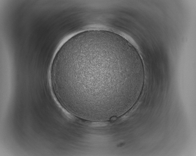 X0000110701440200906191518