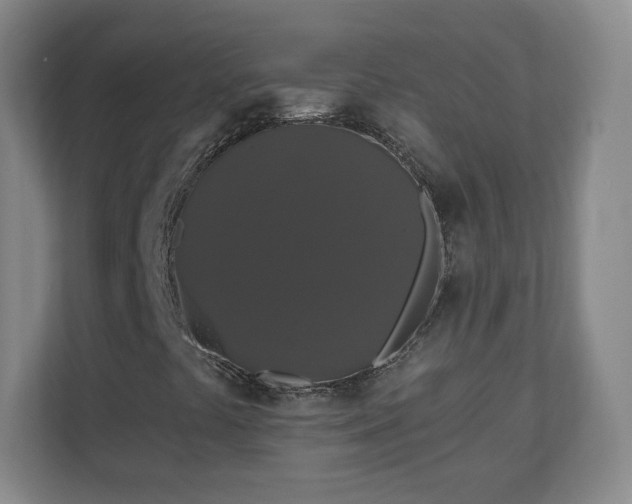 X0000110701441200906191518