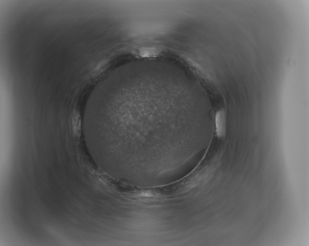 X0000110701443200906191518