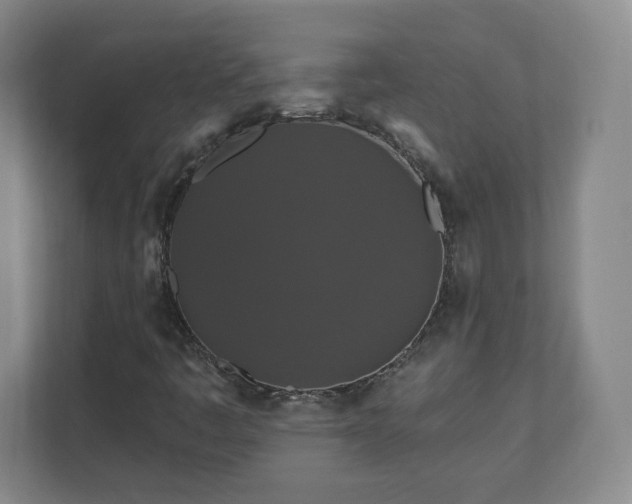 X0000110701445200906191518