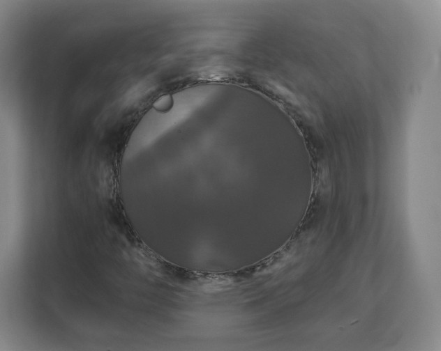 X0000110701446200906191518