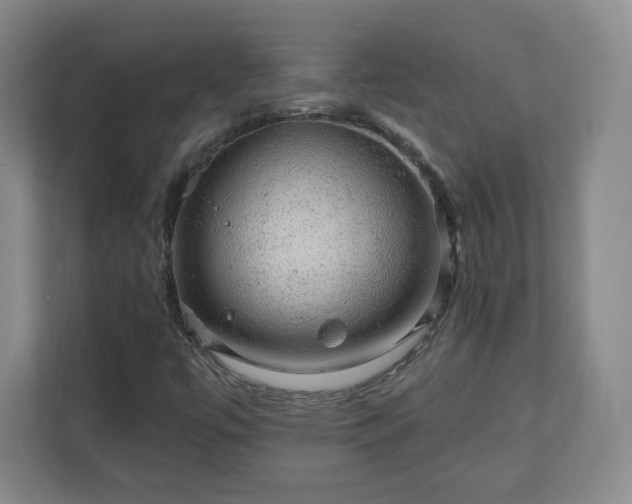 X0000110701447200906191518