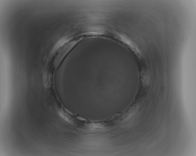 X0000110701448200906191518