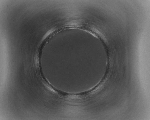 X0000110701450200906191518