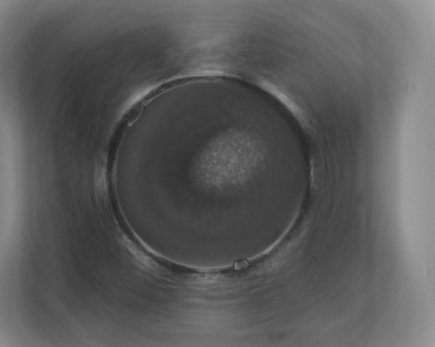 X0000110701452200906191518