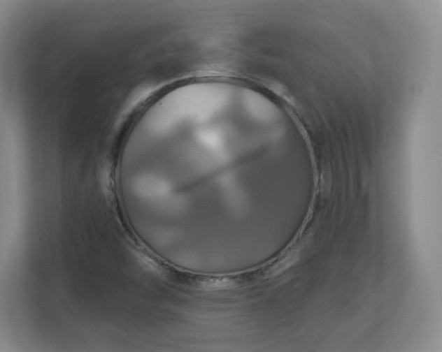 X0000110701454200906191518