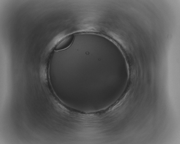 X0000110701455200906191518