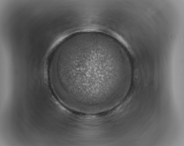 X0000110701456200906191518