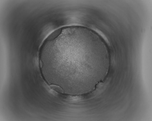 X0000110701460200906191518