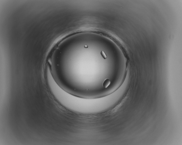 X0000110701461200906191518