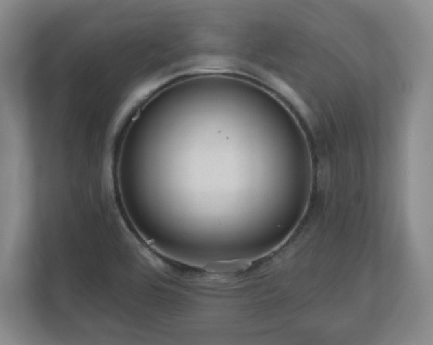 X0000110701464200906191518
