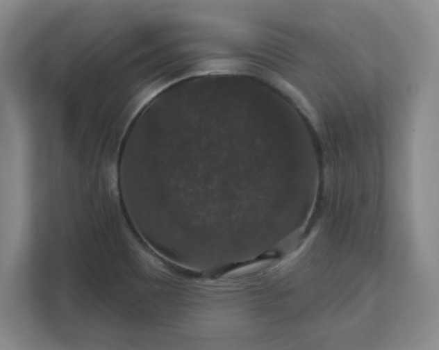 X0000110701465200906191518