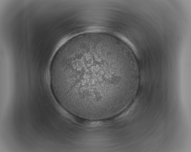 X0000110701467200906191517