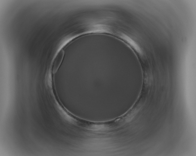 X0000110701468200906191517