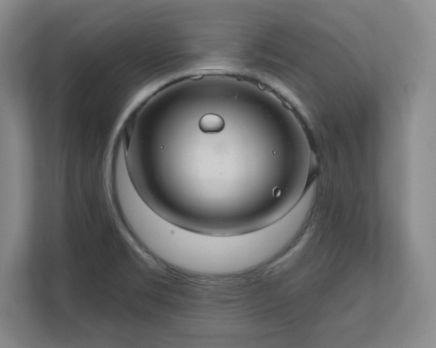 X0000110701469200906191517