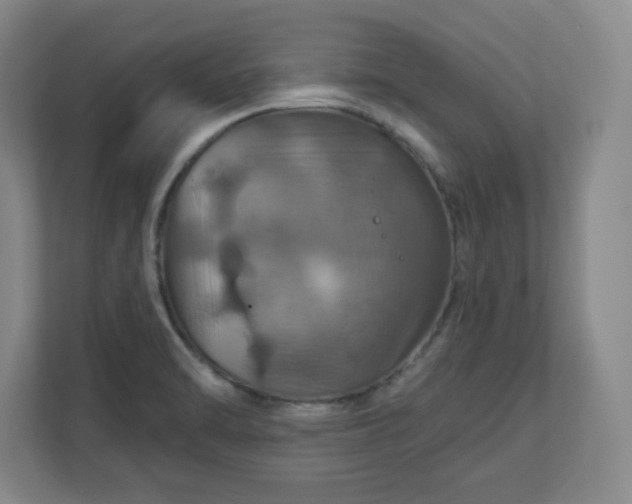 X0000110701470200906191517