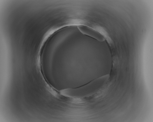 X0000110701472200906191517