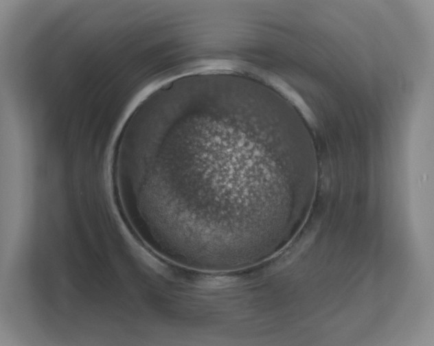 X0000110701475200906191517