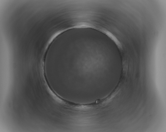 X0000110701476200906191517