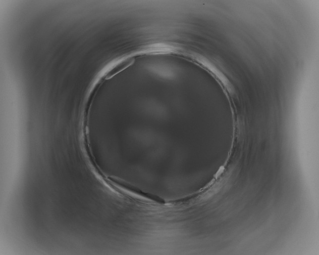 X0000110701477200906191517