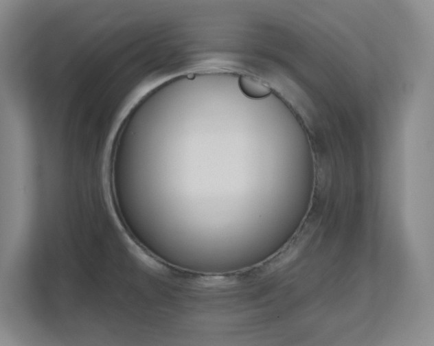 X0000110701478200906191517