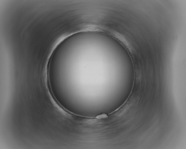 X0000110701479200906191517