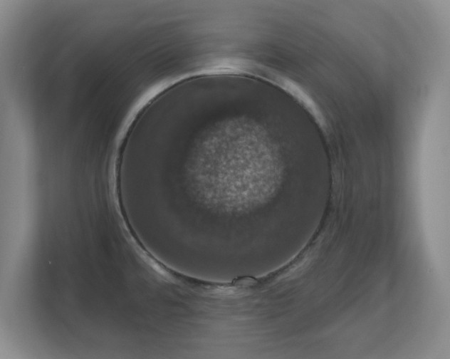 X0000110701480200906191517