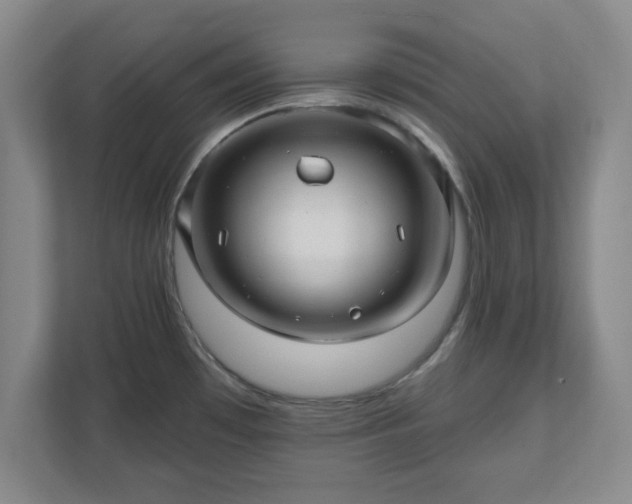 X0000110701481200906191517