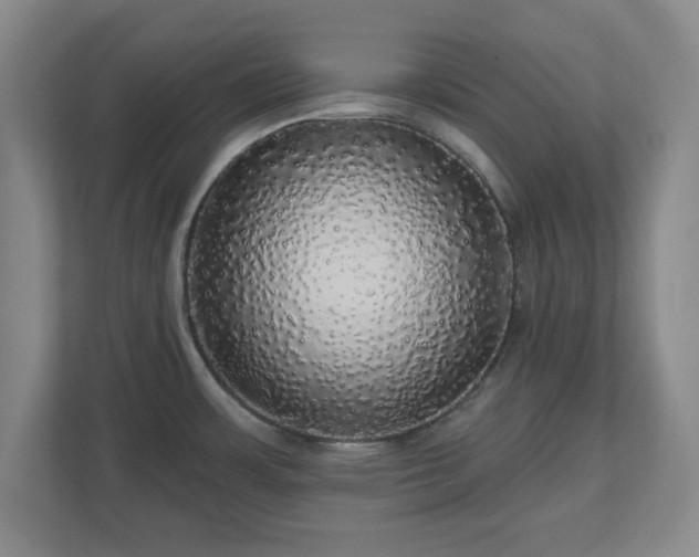 X0000110701483200906191517