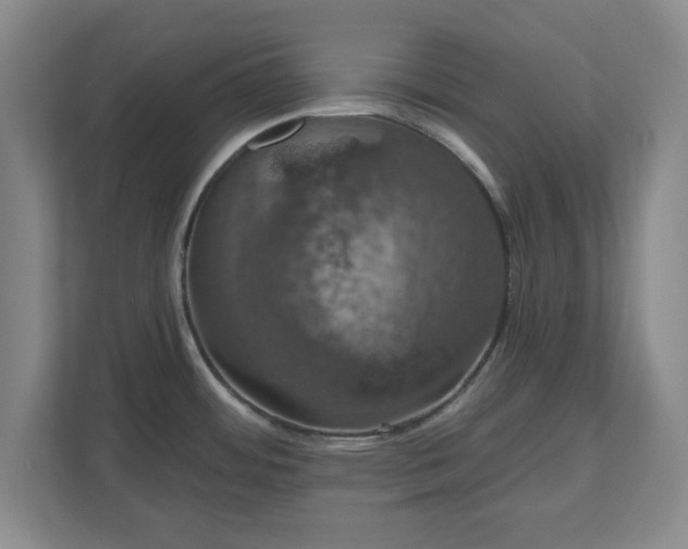 X0000110701484200906191517