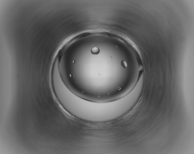 X0000110701485200906191517