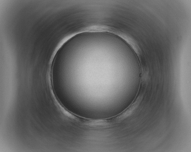 X0000110701486200906191517