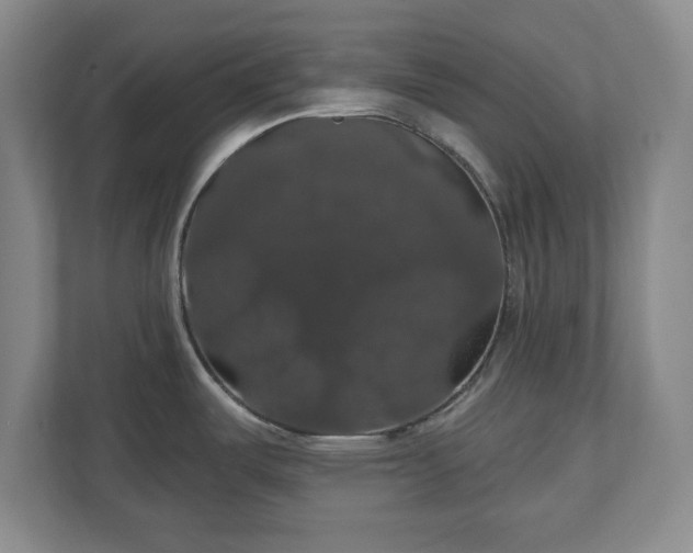 X0000110701487200906191517