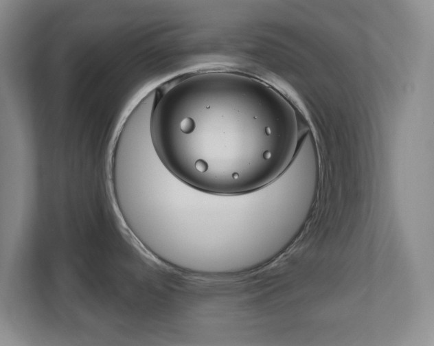 X0000110701488200906191517