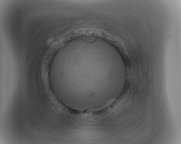 X0000110701489200906191517