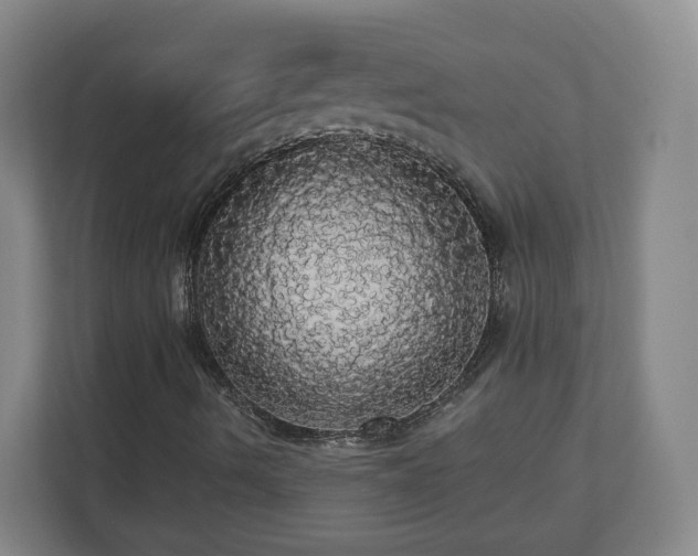 X0000110701490200906191517