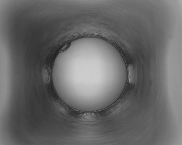 X0000110701491200906191517