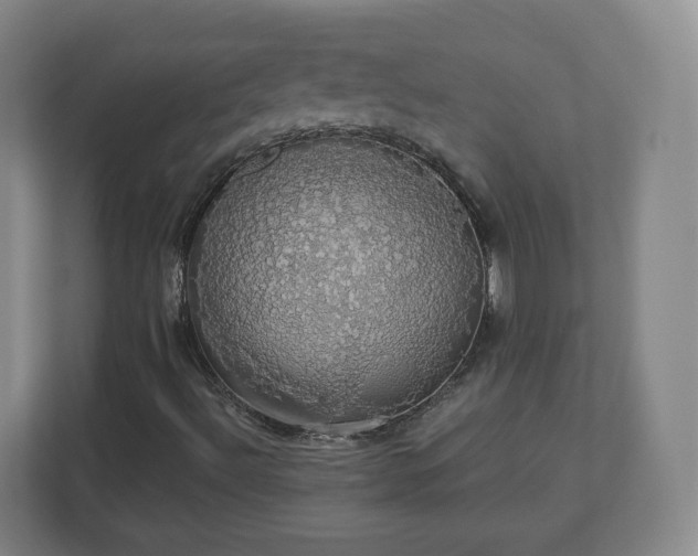 X0000110701492200906191517