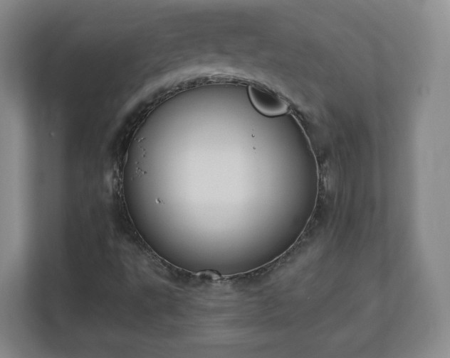 X0000110701495200906191517