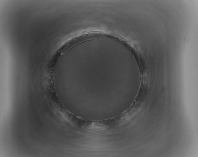 X0000110701496200906191517