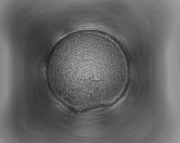 X0000110701497200906191517