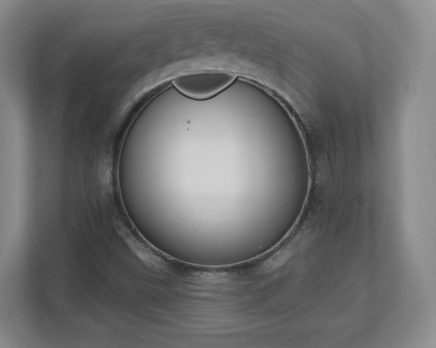 X0000110701499200906191517