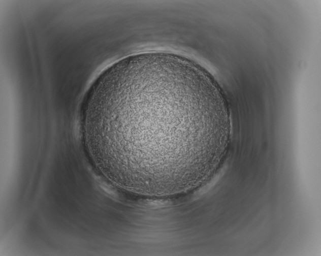 X0000110701501200906191517